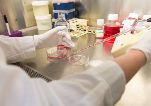 cell culturing